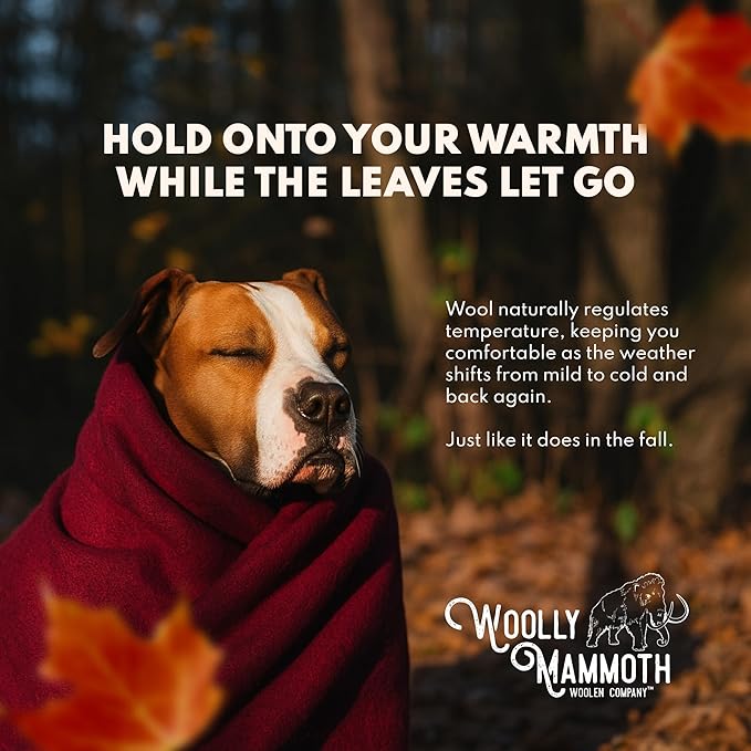 Woolly Mammoth Woolen Company Merino Wool Camping Blanket - 66 × 90 in, Red/White & Blue Plaid - 80% Merino Wool Heavyweight Outdoor Throw Blanket - Insulating for Picnic & Travel