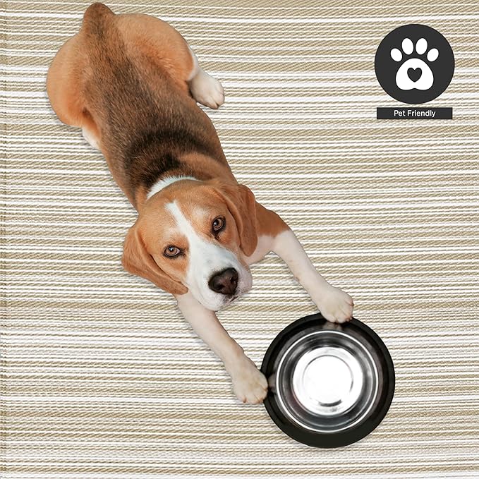 FH Home Outdoor Camping Rug - Waterproof, Fade Resistant, Reversible - Premium Recycled Plastic - Striped - Large Patio, Deck, Sunroom, RV - Havana - Beige - 9 x 18 ft Foldable