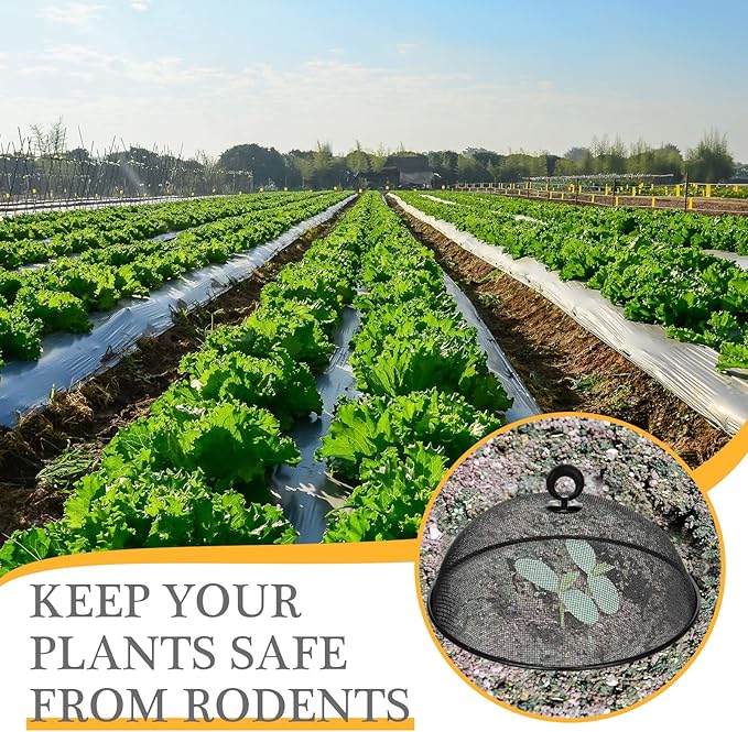 Gerrii 6 Pcs Metal Mesh Food Cover Outdoor Mesh Food Tents Dome Screen Plate Covers for Dinner Plates Reusable Fruit Fly Nets Picnic Food Umbrella for Table, BBQ, Camping, Party (Black,11 Inch)