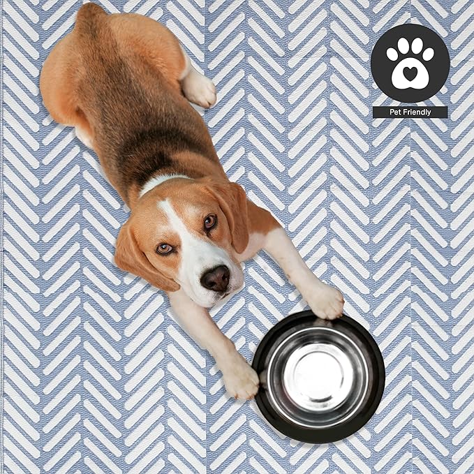 FH Home Outdoor Camping Rug - Waterproof, Fade Resistant, Reversible - Premium Recycled Plastic - Herringbone - Large Patio, Deck, Sunroom, RV - Fresno - Light Blue - 4 x 6 ft Foldable