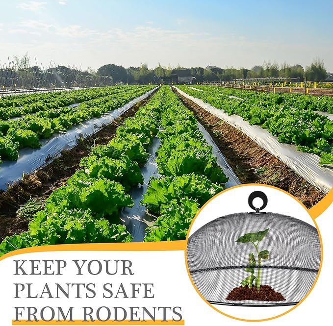 Gerrii 6 Pcs Metal Mesh Food Cover Outdoor Mesh Food Tents Dome Screen Plate Covers for Dinner Plates Reusable Fruit Fly Nets Picnic Food Umbrella for Table, BBQ, Camping, Party (Black,14 Inch)