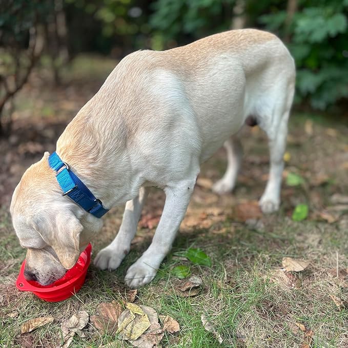 Collapsible Silicone Dog Bowl with Carabiner, 3 Sizes 5-27oz, Portable Pet Outdoor,Travel Bowl,(Black and Red)
