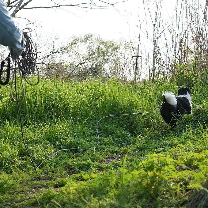 NTR Long Leash, 15 FTDog Check Cord with Swivel Lockable Hook and Comfortable Padded Handle for Dog Leash for Small Medium and Large Dogs Walking Training Hiking Camping Playing Pink Blue