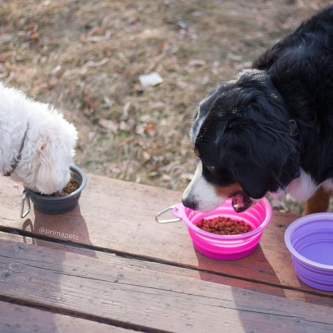 Prima Pet Collapsible Silicone Water Travel Bowl with Clip for Dog and Cat, Portable and Durable Pop-up Feeder for Convenient On-The-go Feeding – Size: Large (5 Cups) Pink