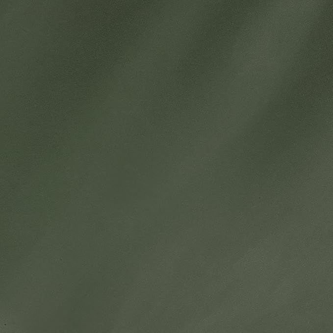 Fab Habitat Solid Recycled Polyester Hammock - Fargo - Green - Indoor/Outdoor, Quick Dry, 2 Person 460 lbs Capacity - Patio, Poolside, Backyard, Garden, Beach, Balcony - 12-14 ft Adjustable