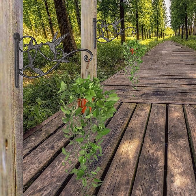 2PCS Plant Hangers Outdoor Plant Hooks for Wall/Fence, Hummingbird Hanging Plant Bracket Heavy Duty Cast Iron Plant Hanger for Lantern/Bird Feeder, Drak Brown