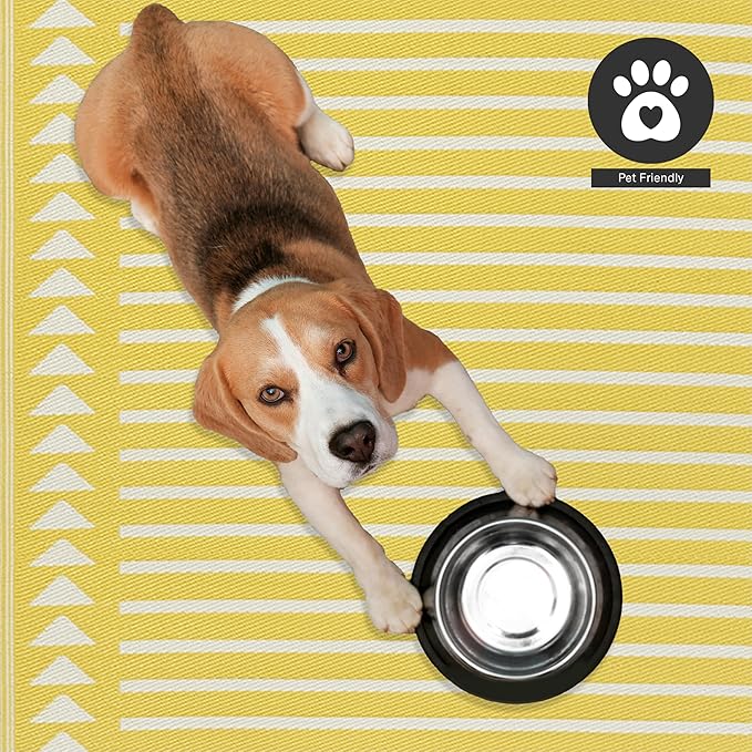 FH Home Outdoor Rug - Waterproof, Fade Resistant, Crease-Free - Premium Recycled Plastic - Geometric - Porch, Deck, Balcony, Mudroom, Laundry Room, Patio - Hampton - Yellow Crease Free - 3 x 5 ft