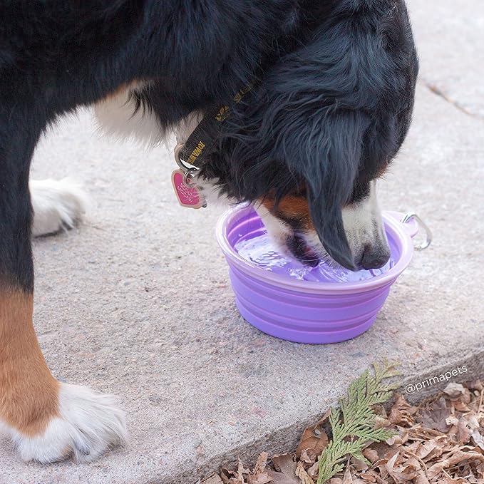 Prima Pet Collapsible Silicone Water Travel Bowl with Clip for Dog and Cat, Portable and Durable Pop-up Feeder for Convenient On-The-go Feeding – Size: Large (5 Cups) Purple