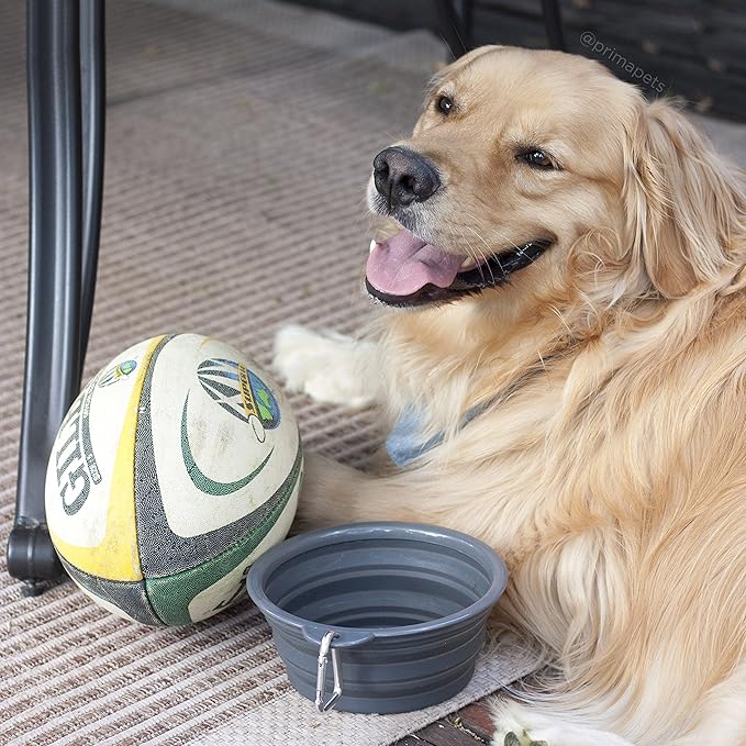 Sale Collapsible Silicone Water Travel Bowl with Clip for Dog and Cat, Portable and Durable Pop-up Feeder for Convenient On-The-go Feeding Size: Large (5 Cups) Grey